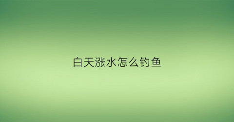 白天涨水怎么钓鱼(白天钓深水还是浅水)