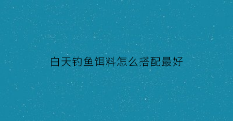 白天钓鱼饵料怎么搭配最好(白天钓鱼用什么饵料好)
