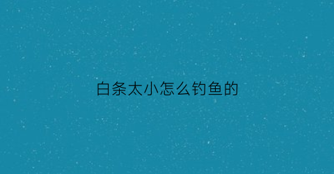 白条太小怎么钓鱼的