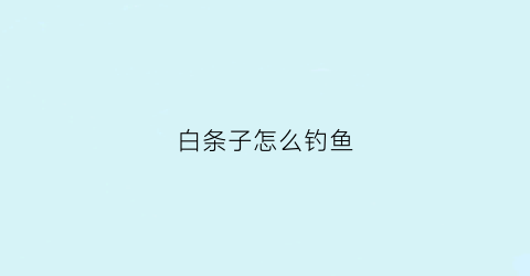 白条子怎么钓鱼(白条子怎么钓鱼视频)