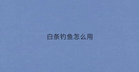 白条钓鱼怎么用(白条鱼怎么钓快速高效钓白条鱼的要领)
