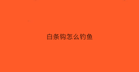 白条钩怎么钓鱼(白条钩钓鱼视频播放)