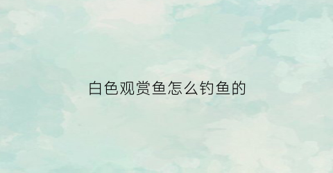 白色观赏鱼怎么钓鱼的(白色观赏鱼是什么鱼)