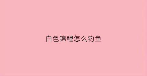 白色锦鲤怎么钓鱼(白色锦鲤鱼风水作用)