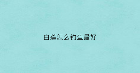 白莲怎么钓鱼最好(白莲应该怎么钓)
