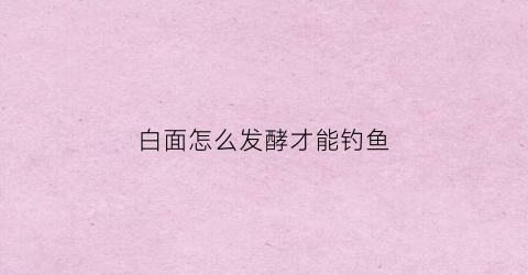 白面怎么发酵才能钓鱼(用白面怎么钓鱼)