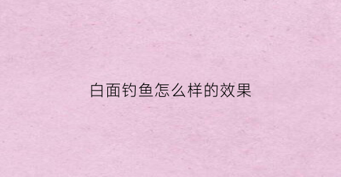 白面钓鱼怎么样的效果(白面弄鱼钓鱼点)