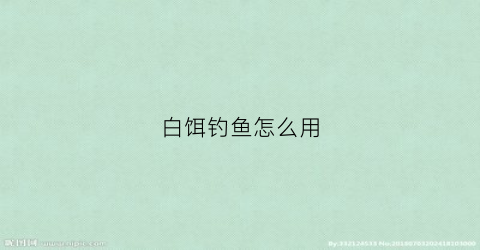 白饵钓鱼怎么用(钓鱼白饵如何搭配)