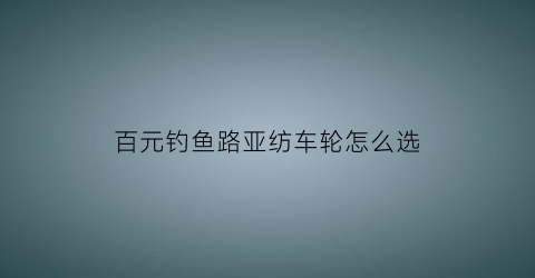 百元钓鱼路亚纺车轮怎么选