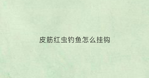 皮筋红虫钓鱼怎么挂钩(皮筋红虫饵料怎么挂钩)