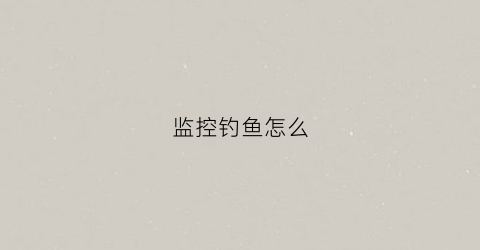监控钓鱼怎么(监控钓鱼竿上鱼视频)