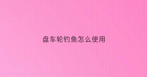 盘车轮钓鱼怎么使用