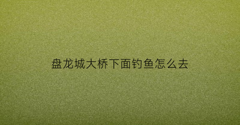 盘龙城大桥下面钓鱼怎么去(盘龙大桥下面怎么过去)