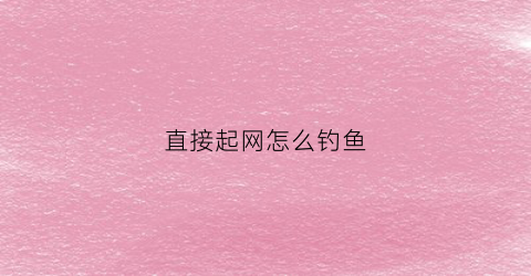 直接起网怎么钓鱼(直接起网怎么钓鱼呢)