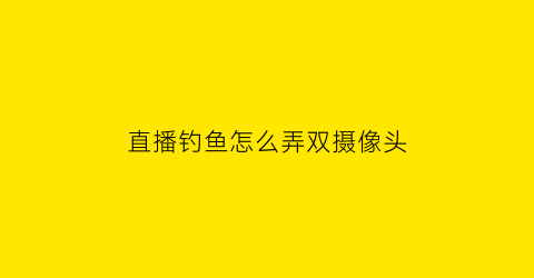 “直播钓鱼怎么弄双摄像头(直播钓鱼怎么直播漂相)