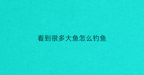 “看到很多大鱼怎么钓鱼(看见大鱼有什么预兆)