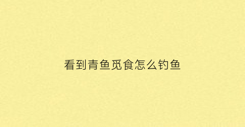 看到青鱼觅食怎么钓鱼(看到青鱼觅食怎么钓鱼视频)