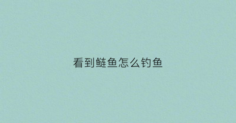 看到鲢鱼怎么钓鱼(野钓鲢鱼怎么找鱼层)