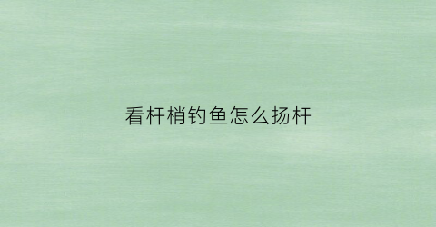 看杆梢钓鱼怎么扬杆(如何看杆稍钓鱼)