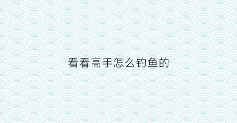 看看高手怎么钓鱼的(我想看怎么钓鱼)