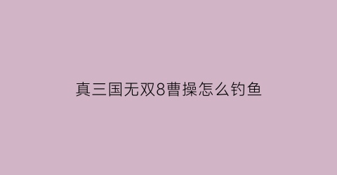 “真三国无双8曹操怎么钓鱼(真三国无双8曹操通关后怎么没有绝影)