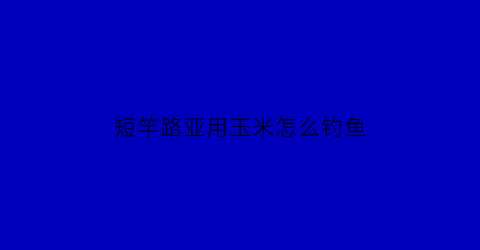 短竿路亚用玉米怎么钓鱼