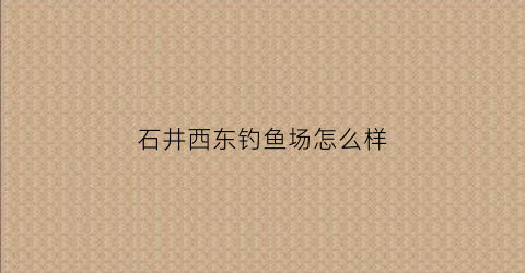 石井西东钓鱼场怎么样(石井西东钓鱼场怎么样呀)
