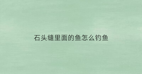 石头缝里面的鱼怎么钓鱼(石缝里的鱼叫什么)