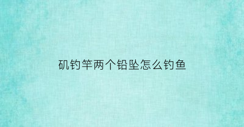 “矶钓竿两个铅坠怎么钓鱼(矶钓竿双铅钓法)