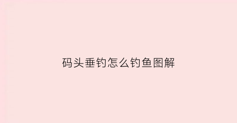 码头垂钓怎么钓鱼图解