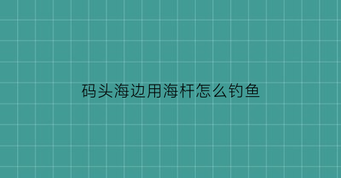 码头海边用海杆怎么钓鱼(码头钓海鱼技巧)