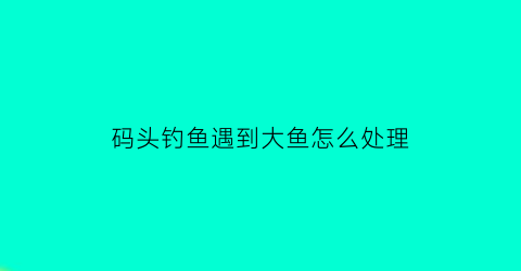 码头钓鱼遇到大鱼怎么处理