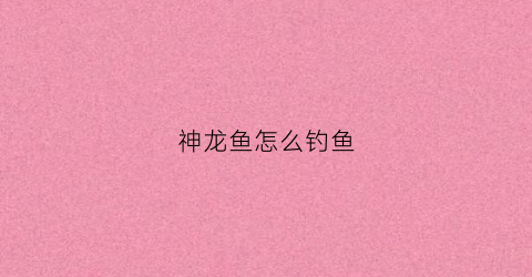 神龙鱼怎么钓鱼(神龙鱼图片)
