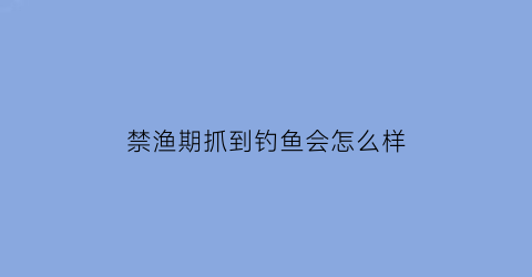 禁渔期抓到钓鱼会怎么样