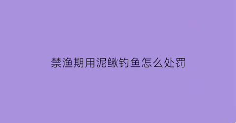 禁渔期用泥鳅钓鱼怎么处罚(禁渔期农田里泥鳅能电不)
