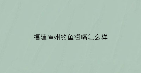 福建漳州钓鱼翘嘴怎么样(漳州哪里可以钓鱼不收费)
