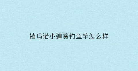 禧玛诺小弹簧钓鱼竿怎么样(禧玛诺线挡弹簧怎么装)