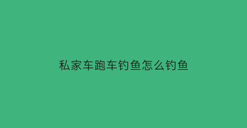 “私家车跑车钓鱼怎么钓鱼(私家车想跑车)