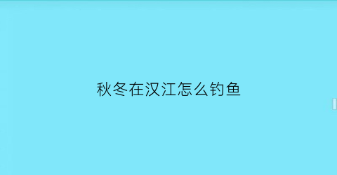 秋冬在汉江怎么钓鱼(汉江野钓用什么饵)