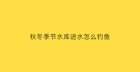 秋冬季节水库进水怎么钓鱼