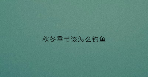 秋冬季节该怎么钓鱼(秋冬季节该怎么钓鱼最好)