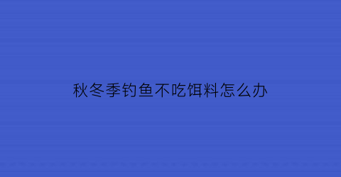 秋冬季钓鱼不吃饵料怎么办(秋冬天钓鱼)