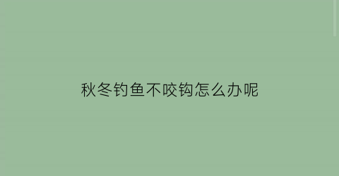 秋冬钓鱼不咬钩怎么办呢(秋冬钓鱼为什么没有口)
