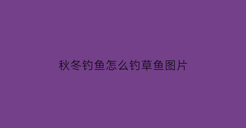 秋冬钓鱼怎么钓草鱼图片