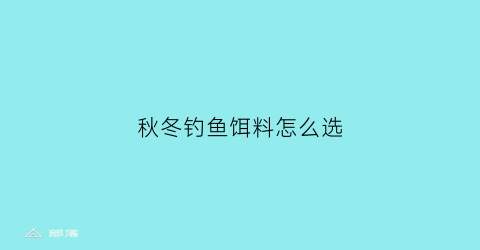 秋冬钓鱼饵料怎么选