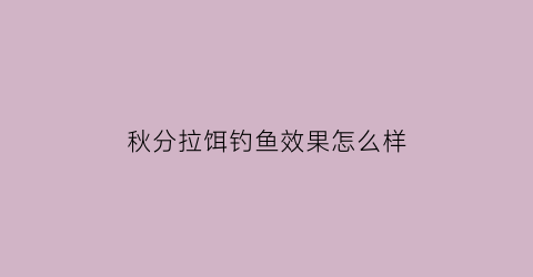 秋分拉饵钓鱼效果怎么样(秋分钓大鱼)