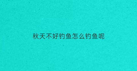 秋天不好钓鱼怎么钓鱼呢(秋天不好钓鱼怎么钓鱼呢)