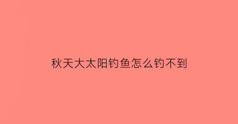 秋天大太阳钓鱼怎么钓不到