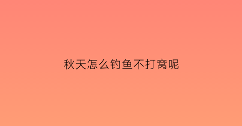 秋天怎么钓鱼不打窝呢