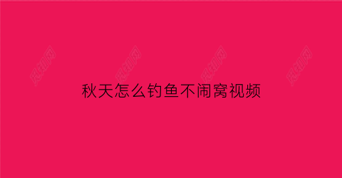 “秋天怎么钓鱼不闹窝视频(秋天怎么钓鱼不闹窝视频教程)